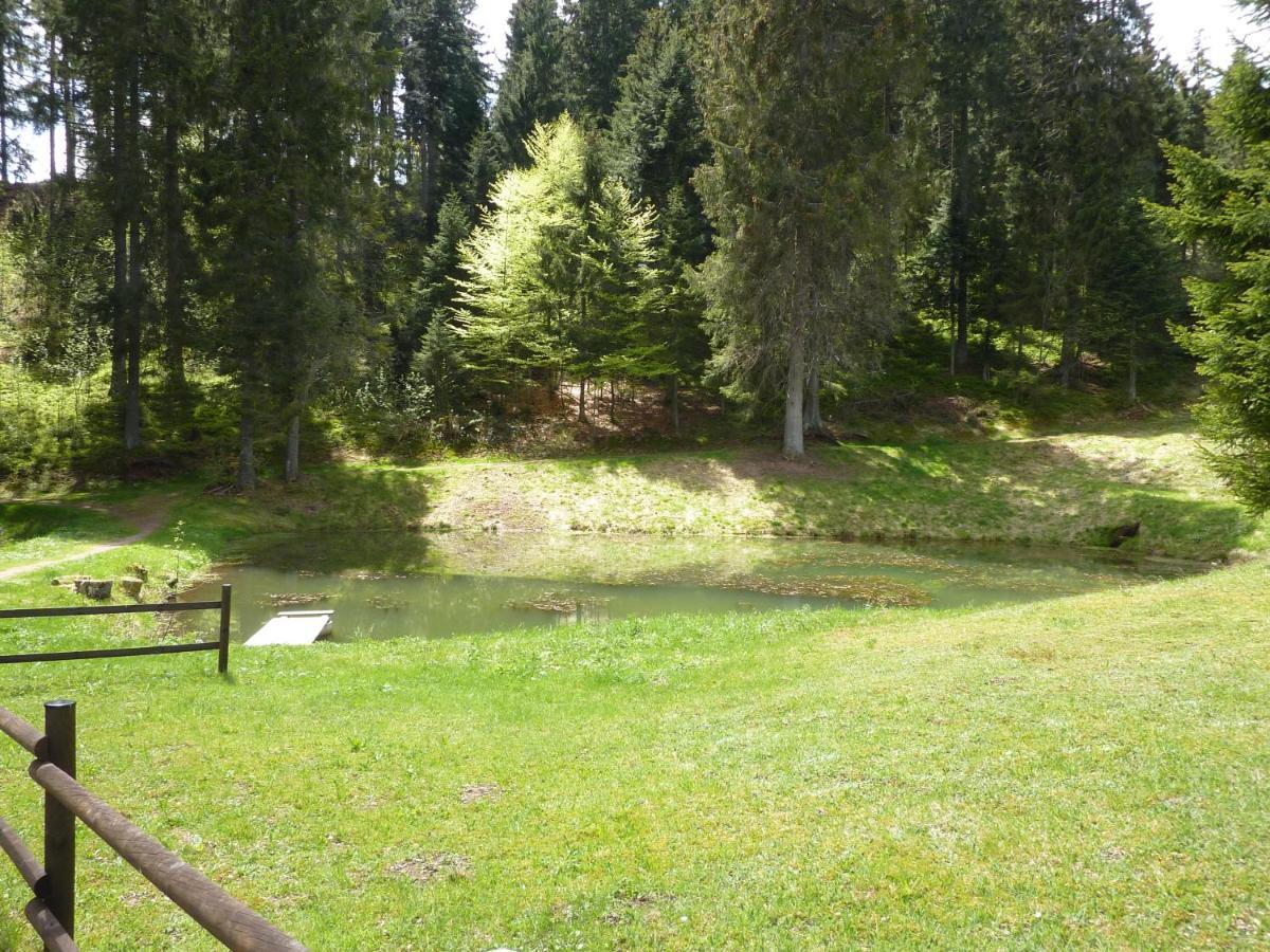 Appartment Leo Шенвальд Екстер'єр фото